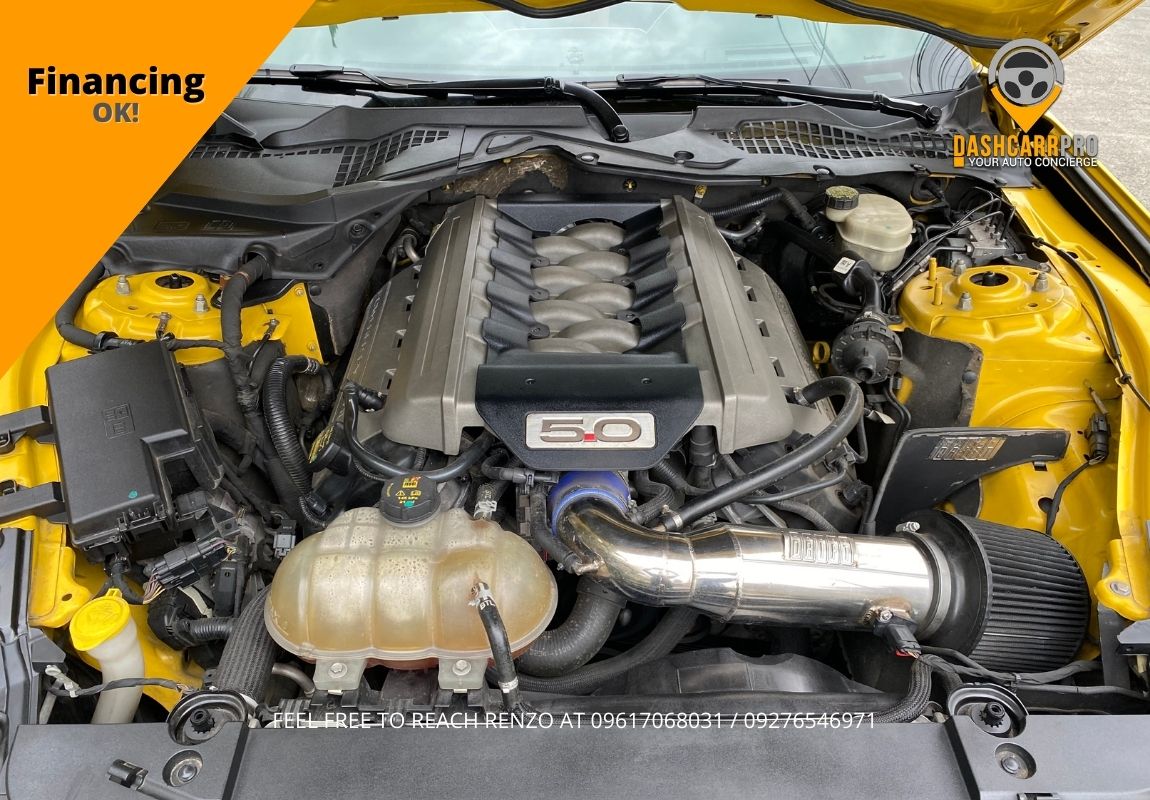 2015 Ford Mustang GT 50th Anniversary
