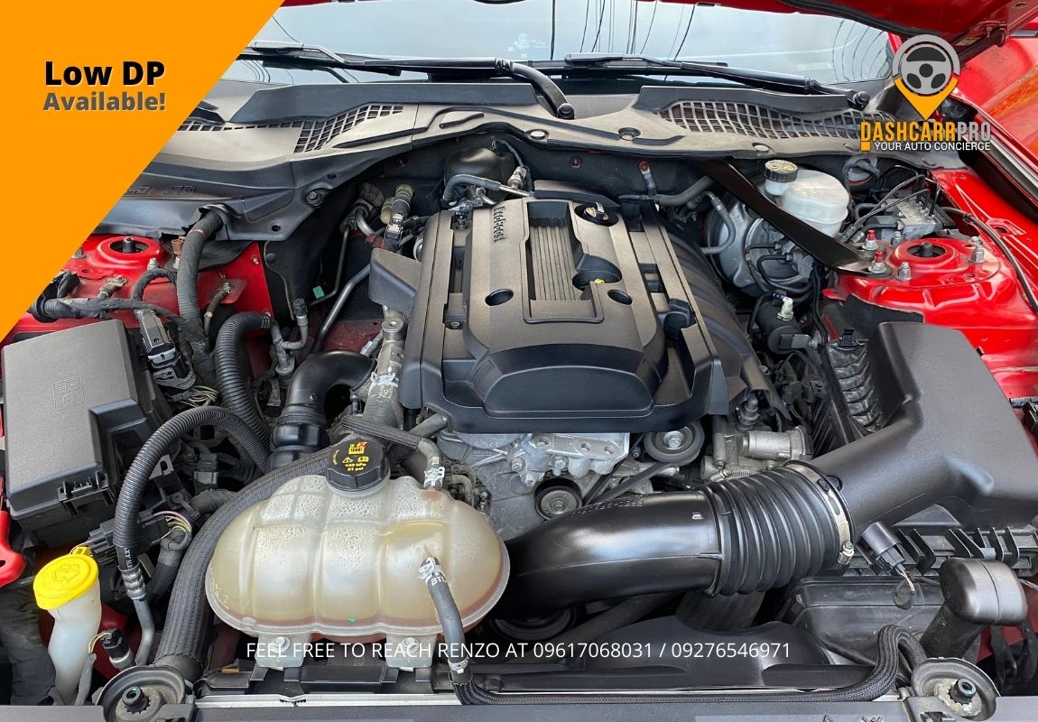 2019 Ford Mustang EcoBoost